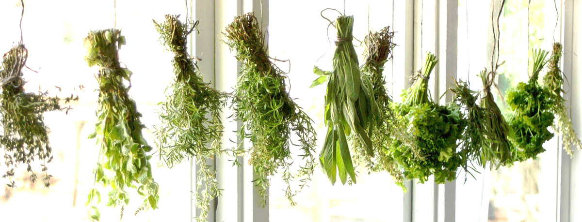 Если сушить травы для экономии.