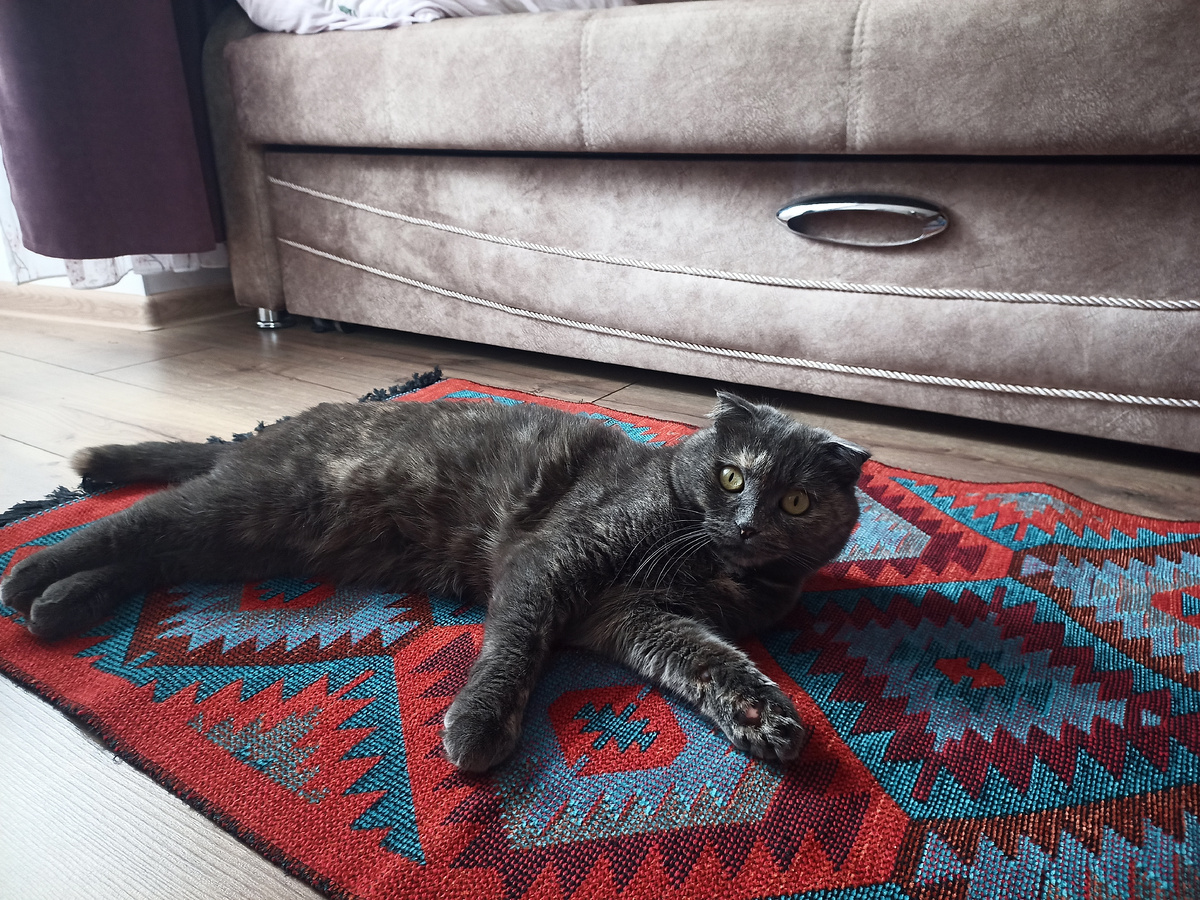 Тварь, как она есть))