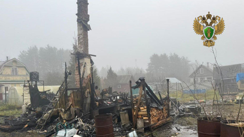    Фото: телеграм-канал прокуратуры Ленобласти