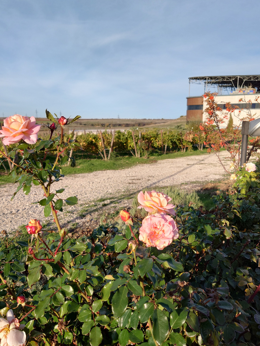 Альминская долина. Фото автора 