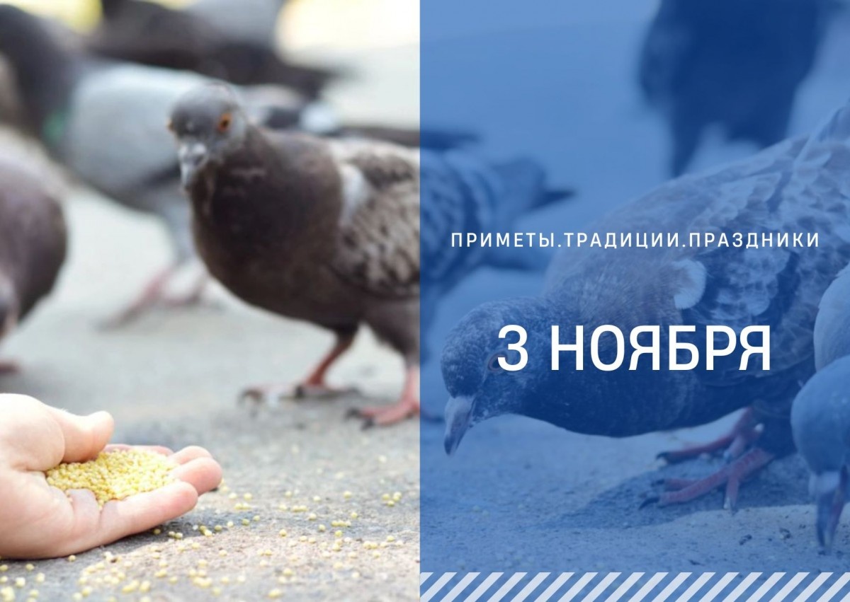   ГТРК "Ставрополье"