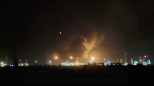     Текст: Вера Басилая