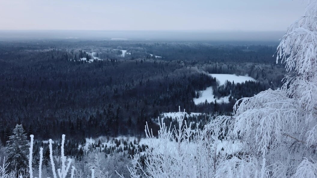    Фото: Елена Майорова/Globallookpress.