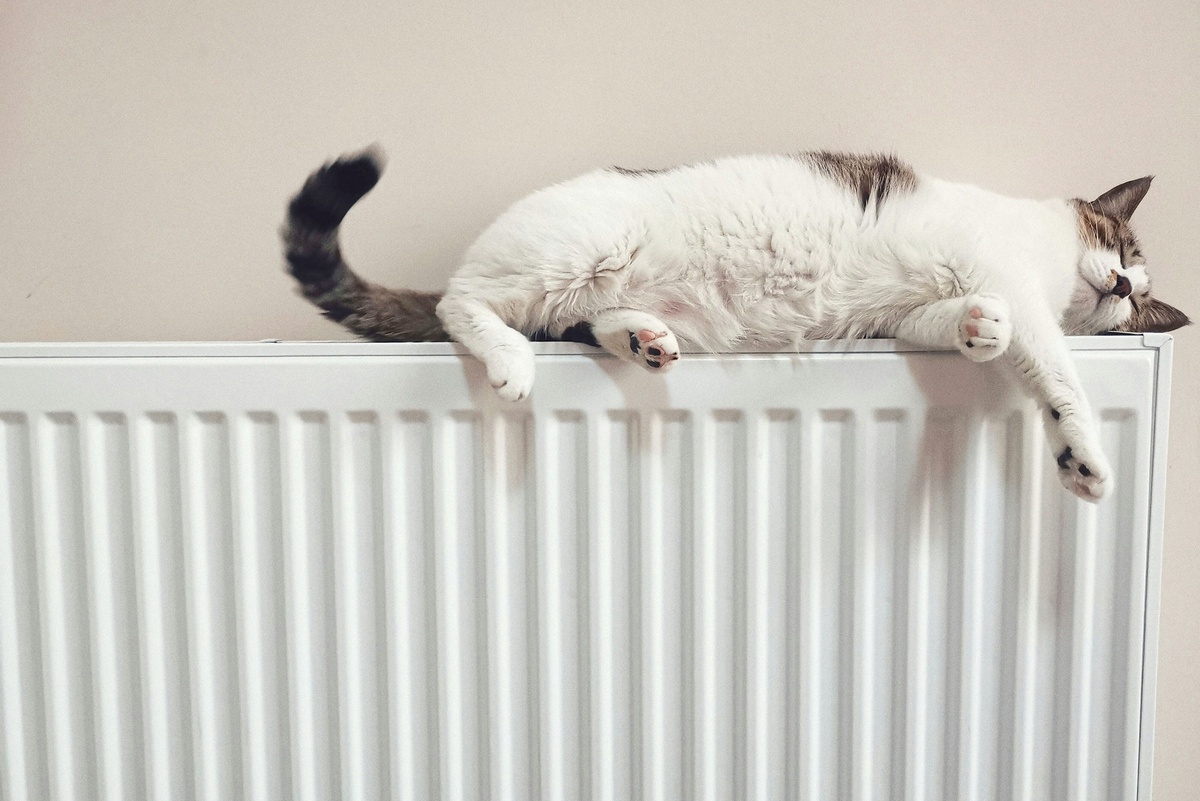    У стальных радиаторов хорошая теплоотдача. / Фото: unsplash.com