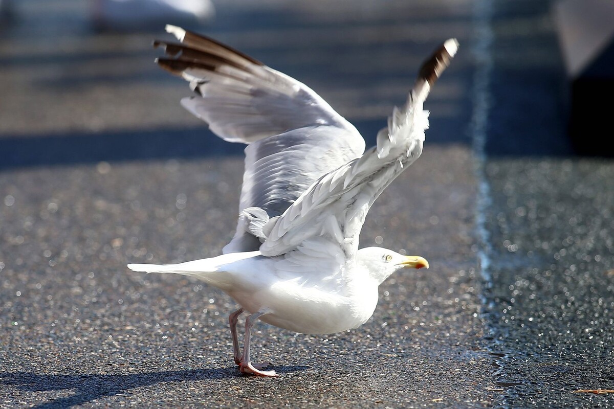     / Источник: © IMAGO/Sven Severing/Global Look Press