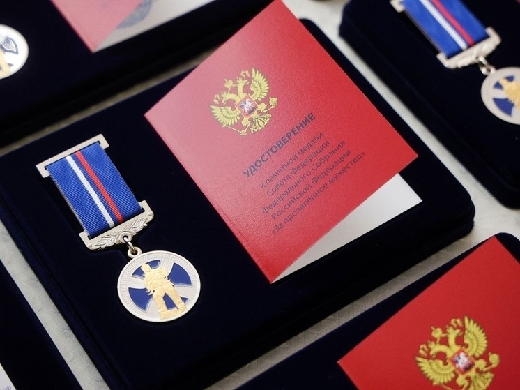     Мурманская область гордится своими юными героями. фото: страница ВКонтакте «Комитет молодежной политики Мурманской области».