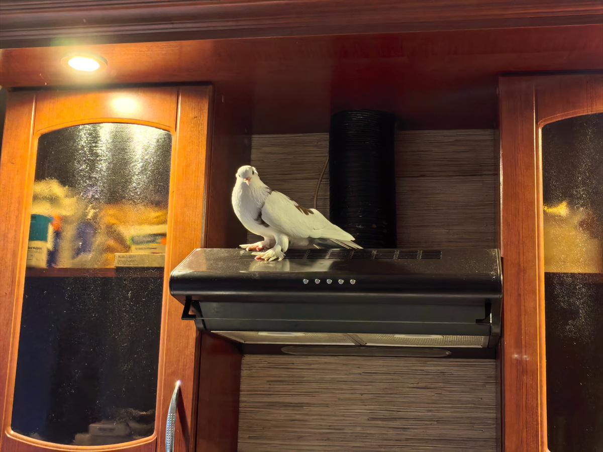 Здравствуйте ☺️