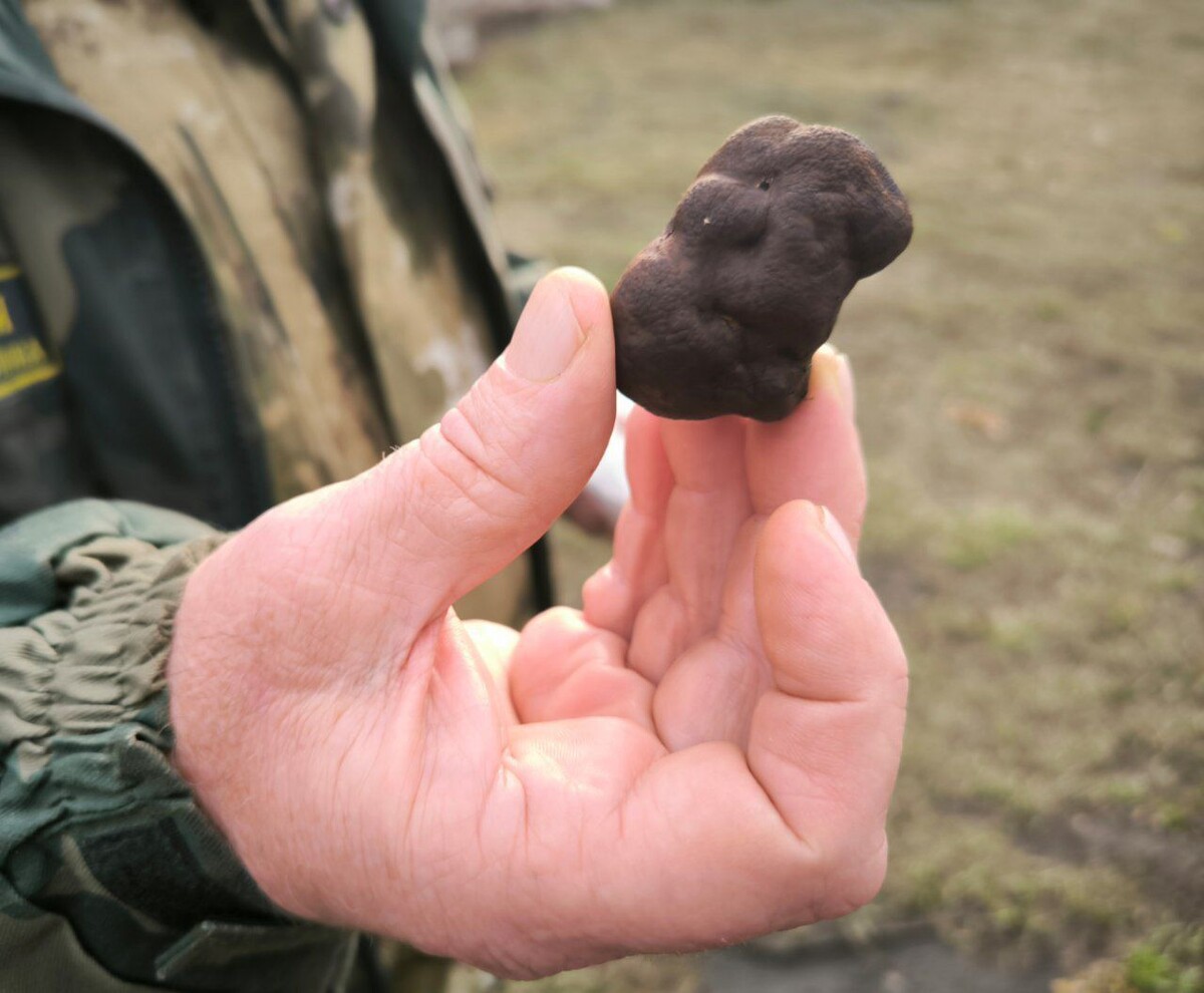     / Источник: © Телеграм-канал главы Петровского района Максима Калядина