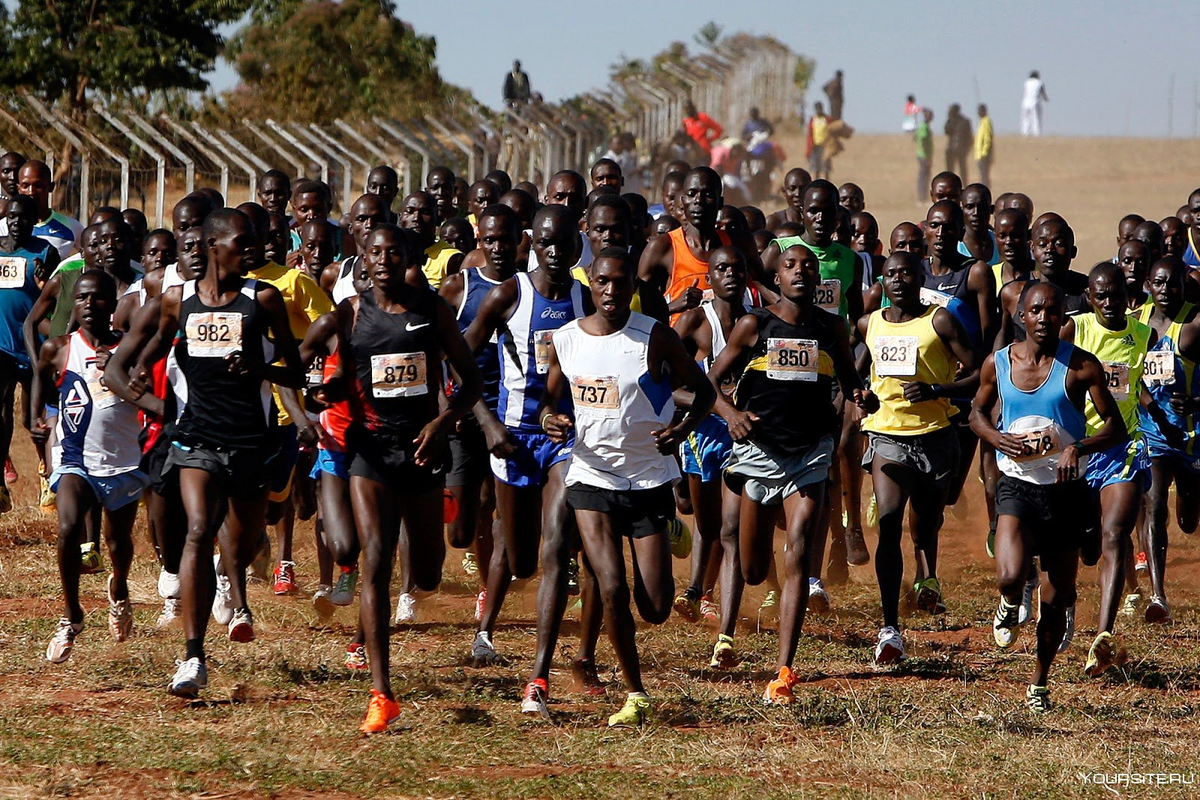 Кения на пробежке: как национальный конвейер чемпионов штампует самых быстрых бегунов мира