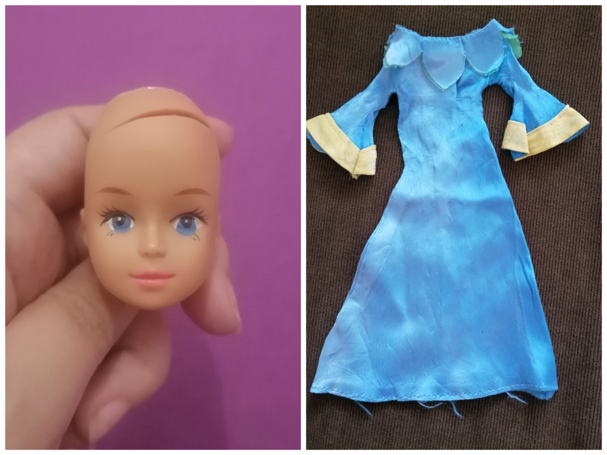 Всё, что осталось от моей любимицы