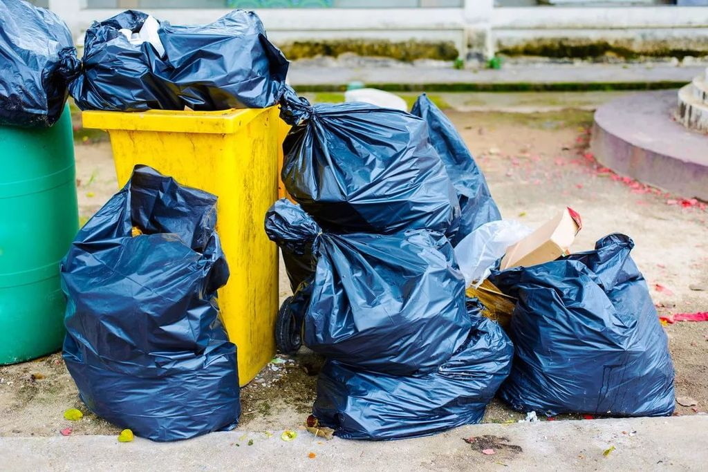 Мусор в пакетах / Источник фото: novgazeta.by