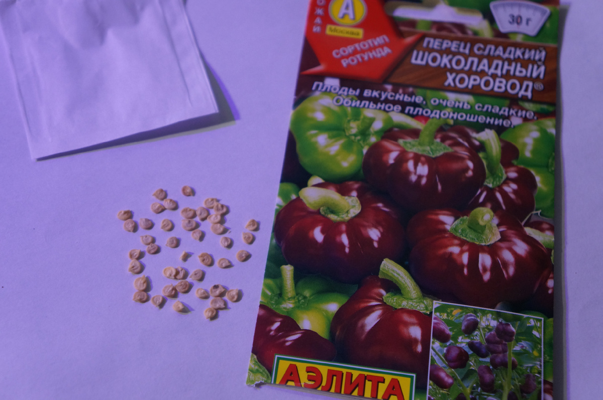 Фото: Зеленая леди, сад, семья и томатный сок