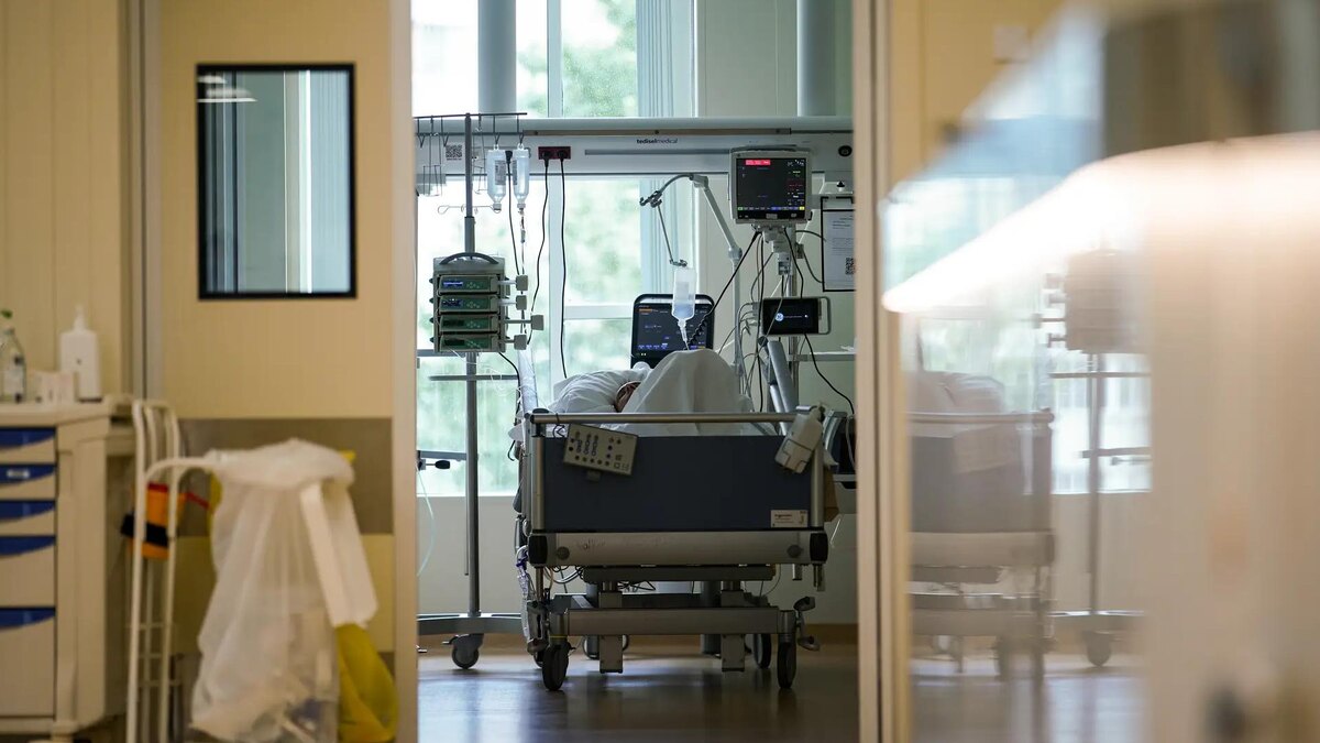    Фото: ИЗВЕСТИЯ/Сергей Лантюхов