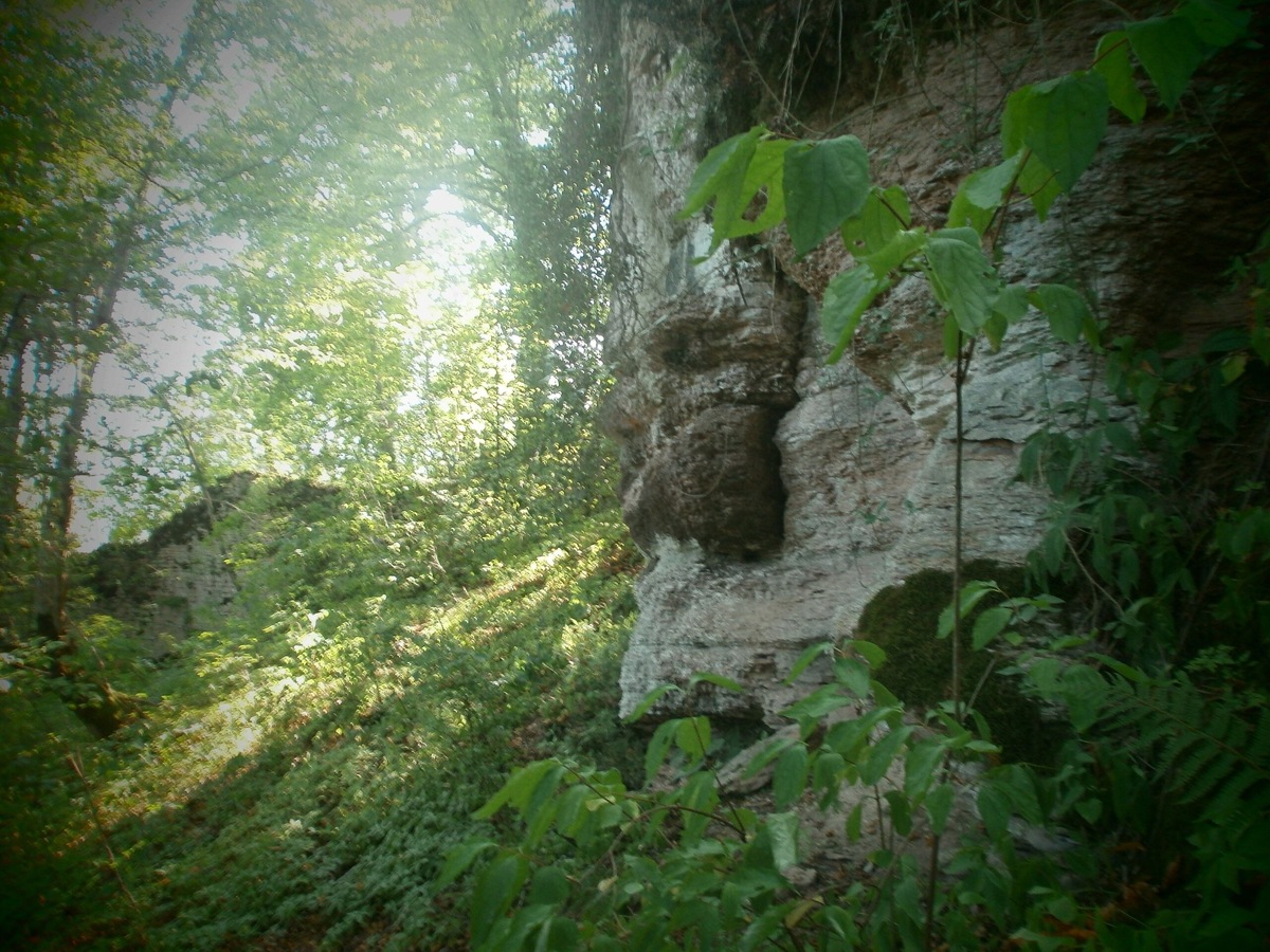 На фото — остатки стен Хашупсинской крепости. Археологам она интересна из-за предполагаемых помещений цитадели и найденных здесь артефактов: оружия, амуниции, керамики, предметов религиозного культа. Фото: Анастасия Михайловская