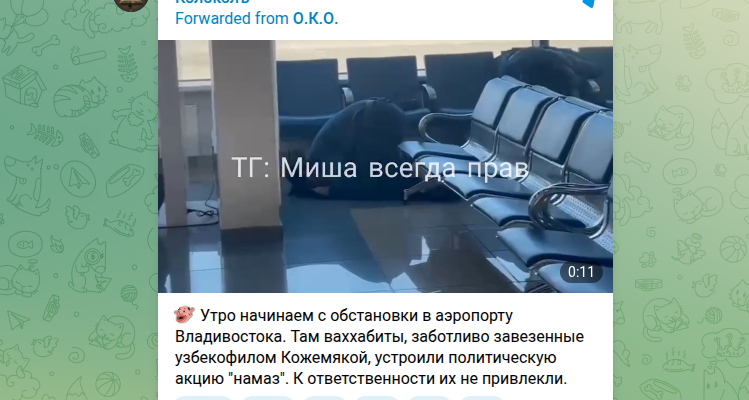 Фото: тг-канал "Миша всегда прав".