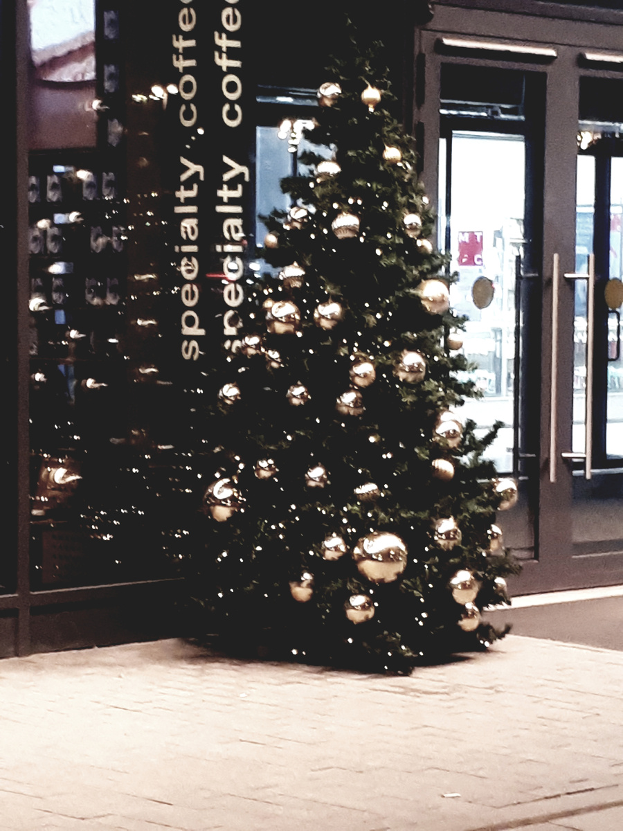 Фото автора 02.11.2025г.