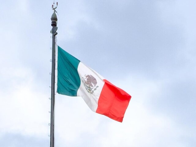    Фото: depositphotos/kmiragaya