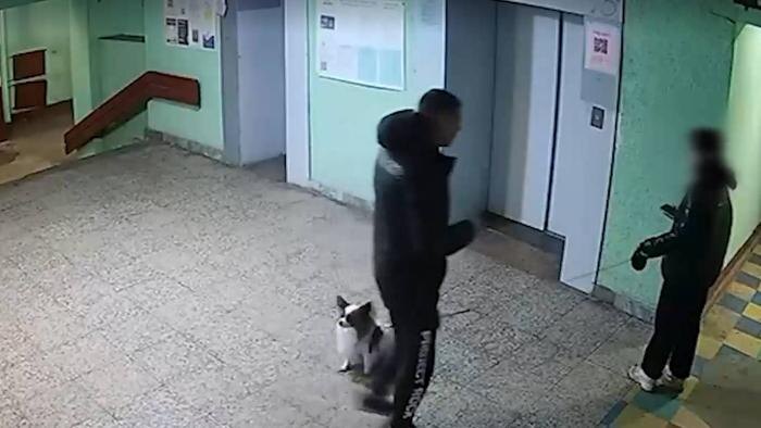 Обложка © Пятый канал