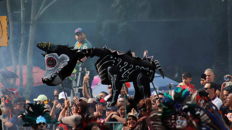     Мэра мексиканского города застрелили во время празднования Дня мертвых www.globallookpress.com/Carlos Santiago/Keystone Press Agency