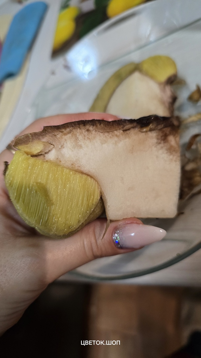 Фото Юлии Ламбоцкой