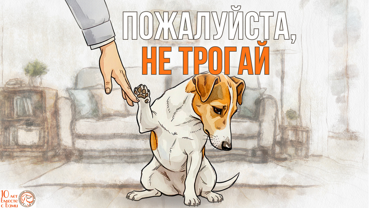 Отворот головы у собаки – это не неприятие, а вежливый «разговор» на языке её тела | Изображение: DogSelf