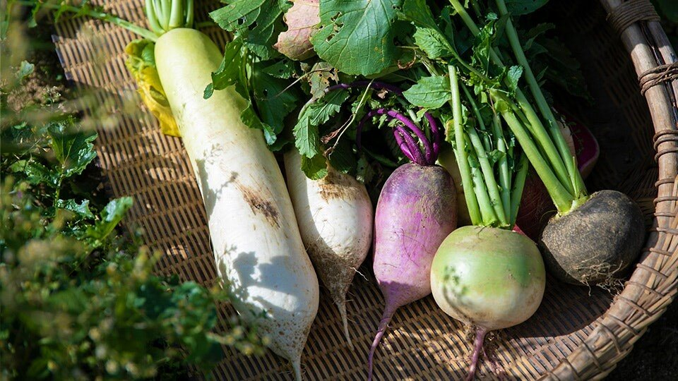 фото из свободного доступа