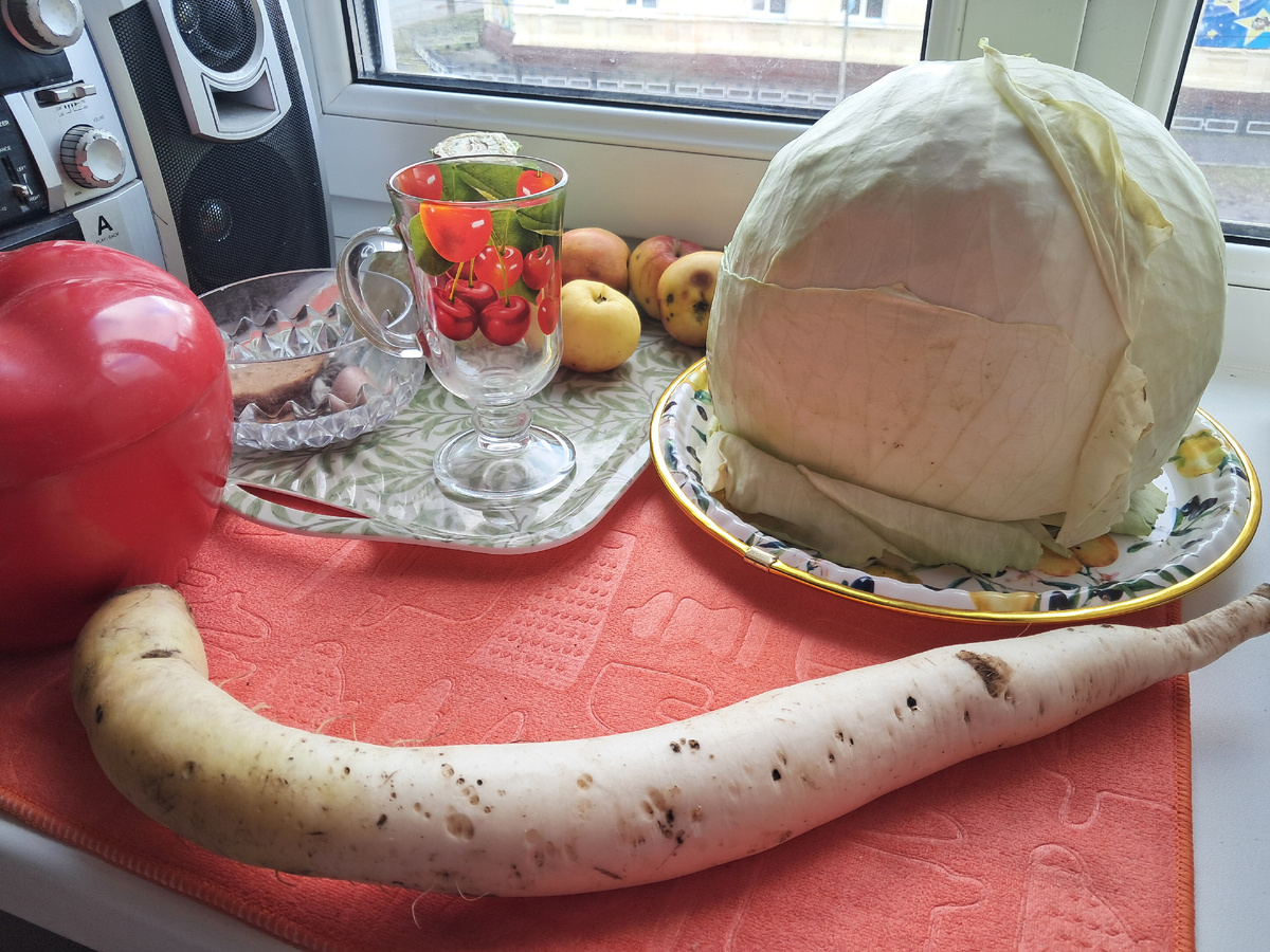 Дайкон .фото автора