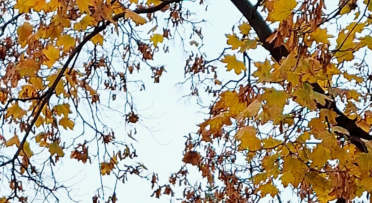 Фото автора.