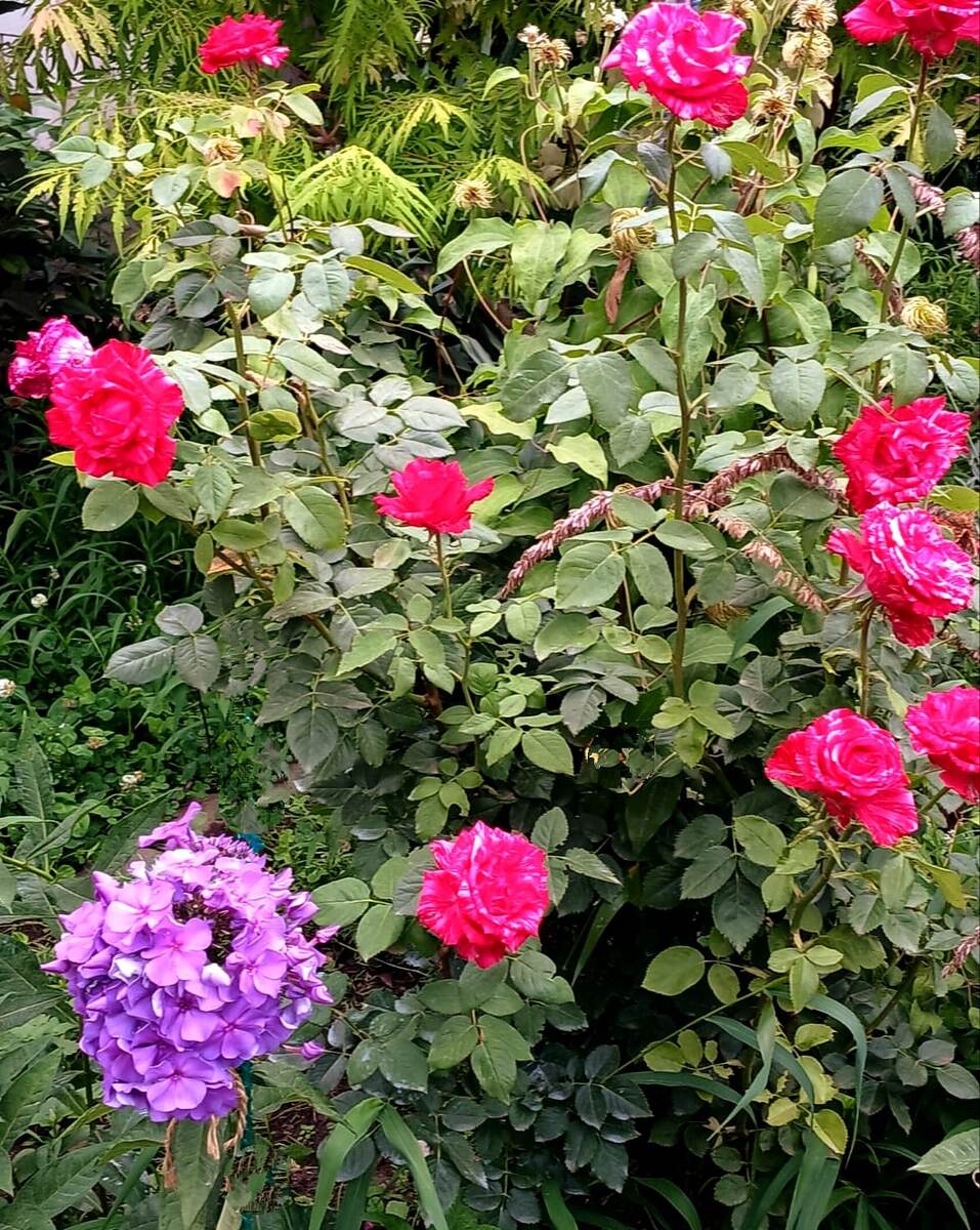 1. В галерее 3 фото, листайте