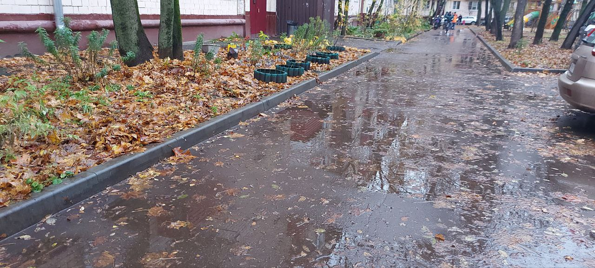 Погода в Москве.