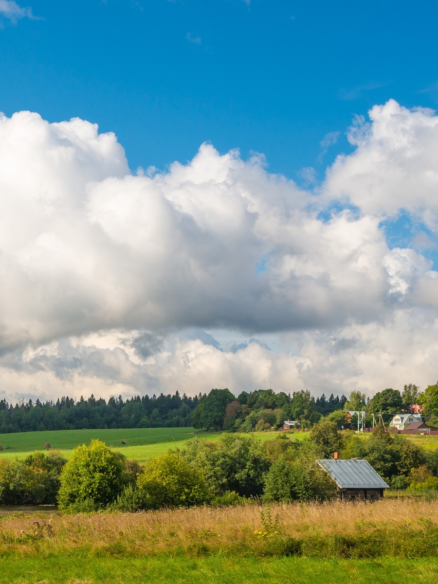 фото: Андрей Котуранов