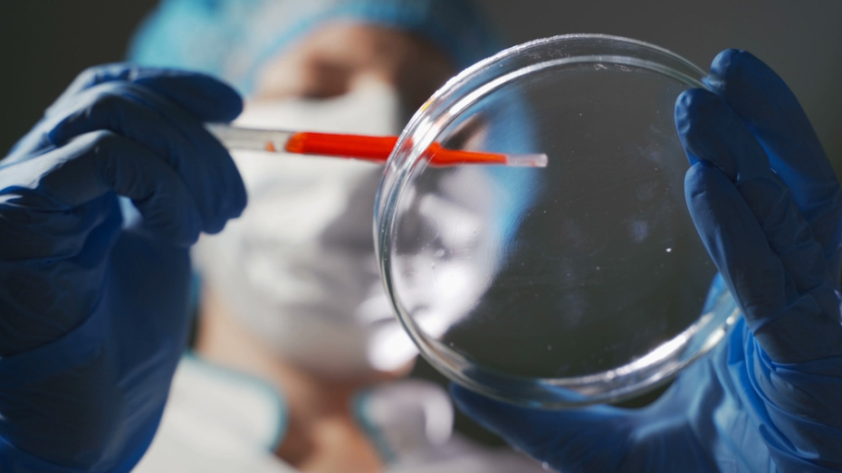    Shutterstock/FOTODOM