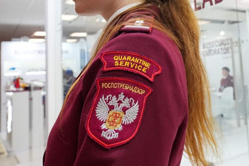     / Источник: © ИЗВЕСТИЯ/Андрей Эрштрем