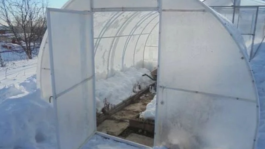 Моя теплица в ноябре — двери и форточки открыты для естественной вентиляции