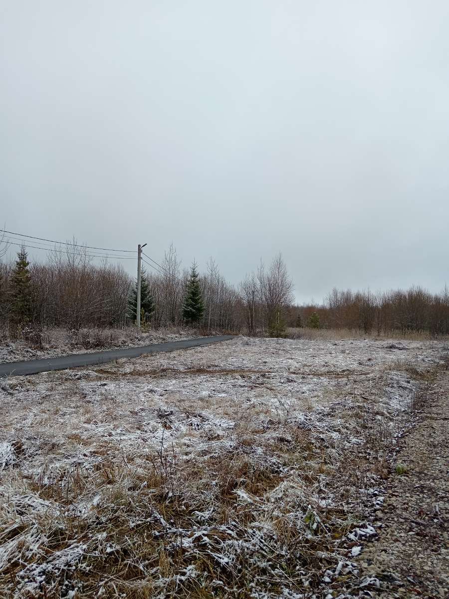"Стоял ноябрь уж у двора...". Листать вправо...