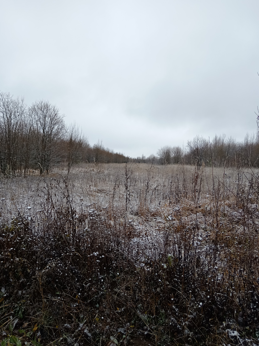 "Стоял ноябрь уж у двора...". Листать вправо