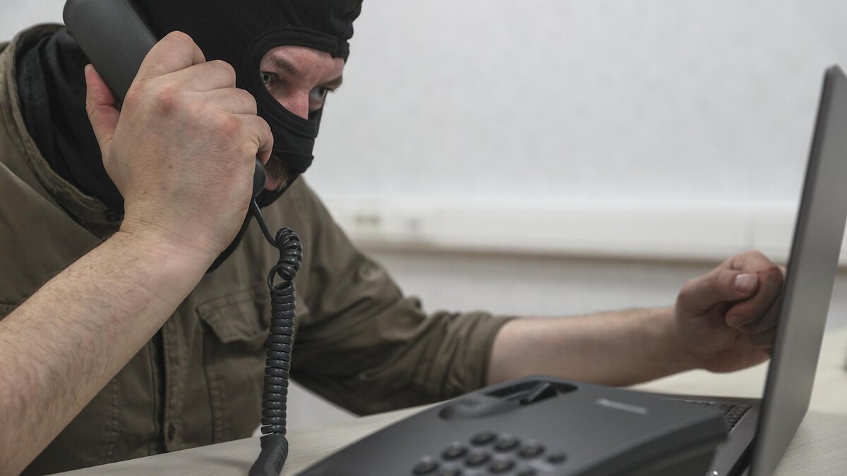    Фото: Bulkin Sergey/news.ru