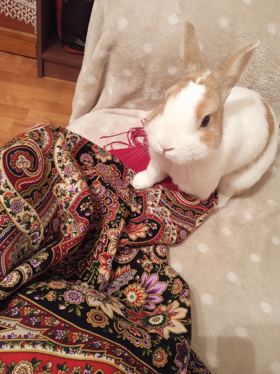 Мама! Тебе не идёт такая шаль