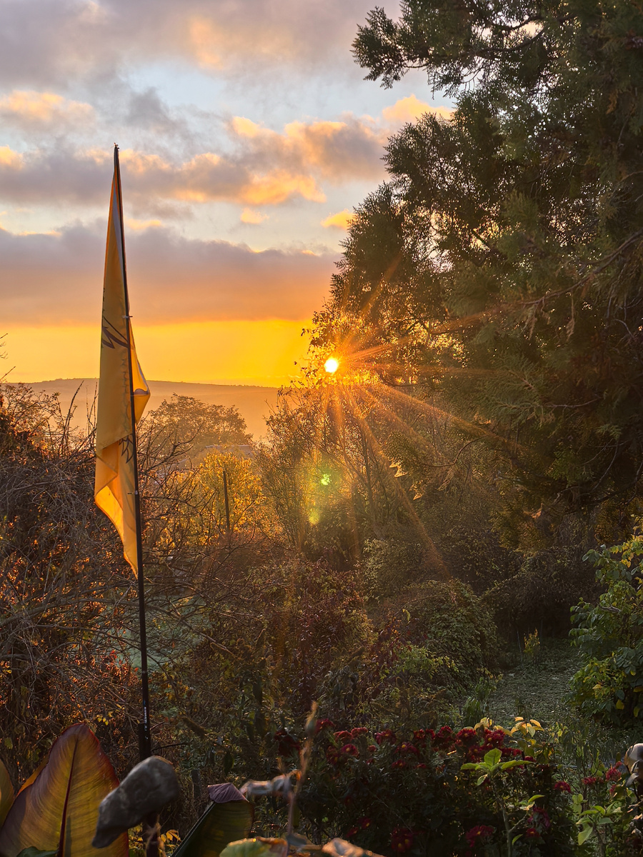 День обещает быть интересным