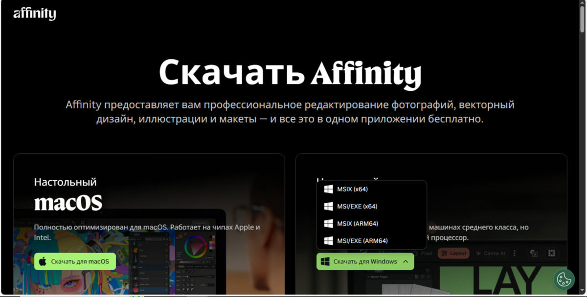 иллюстрации в Affinity