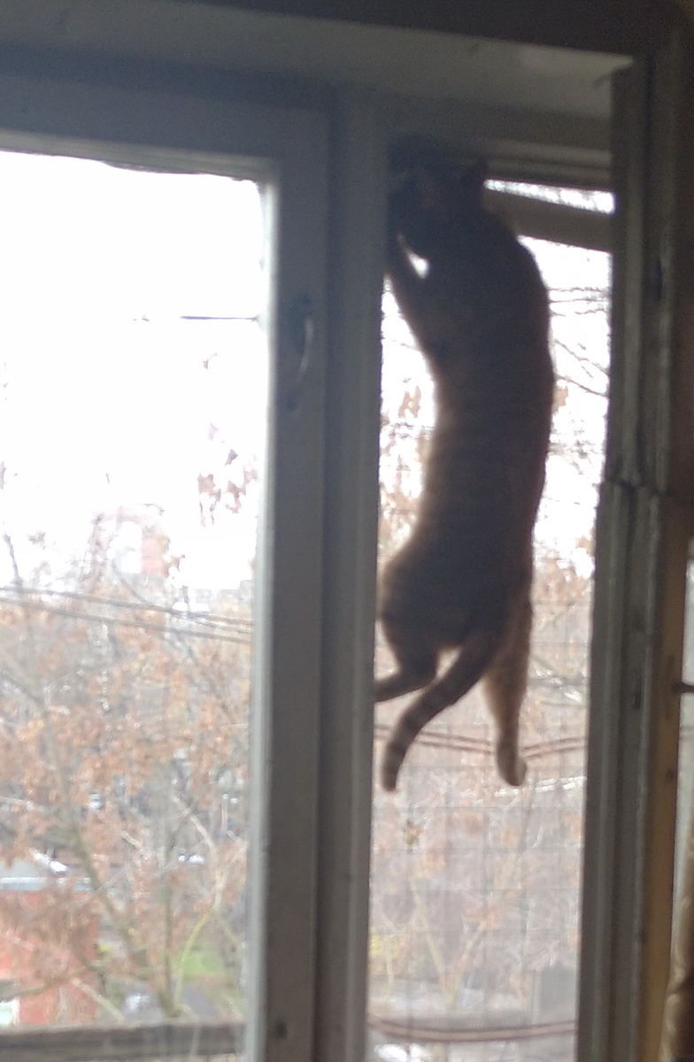 личное фото