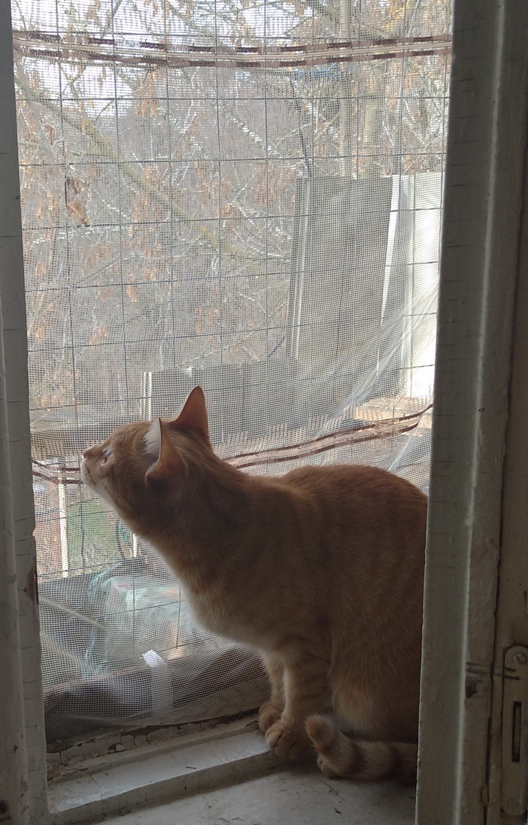 личное фото