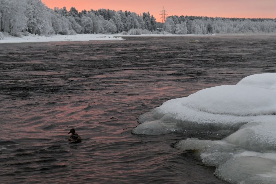     / Источник: © Александр Гальперин/РИА Новости