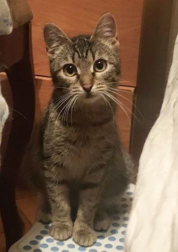 Я вообще большая молодец!