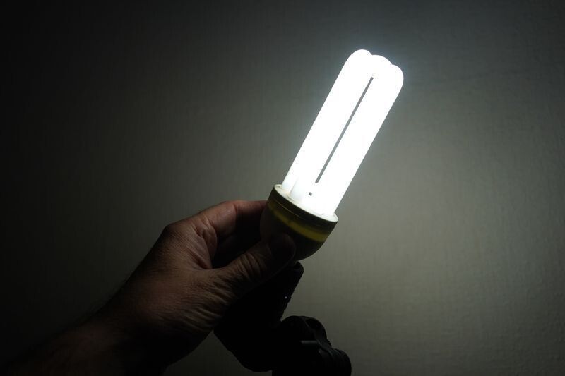     / Источник: © ИЗВЕСТИЯ/Эдуард Корниенко