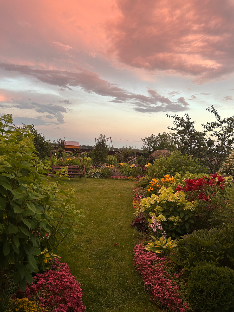  Июль 2025 г. Фото Мой второй сад.