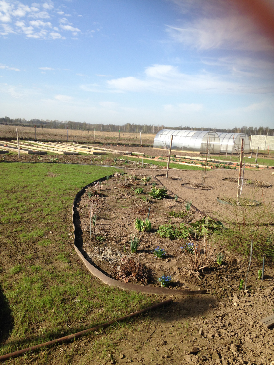 Весна 2017 года. Фото Мой второй сад