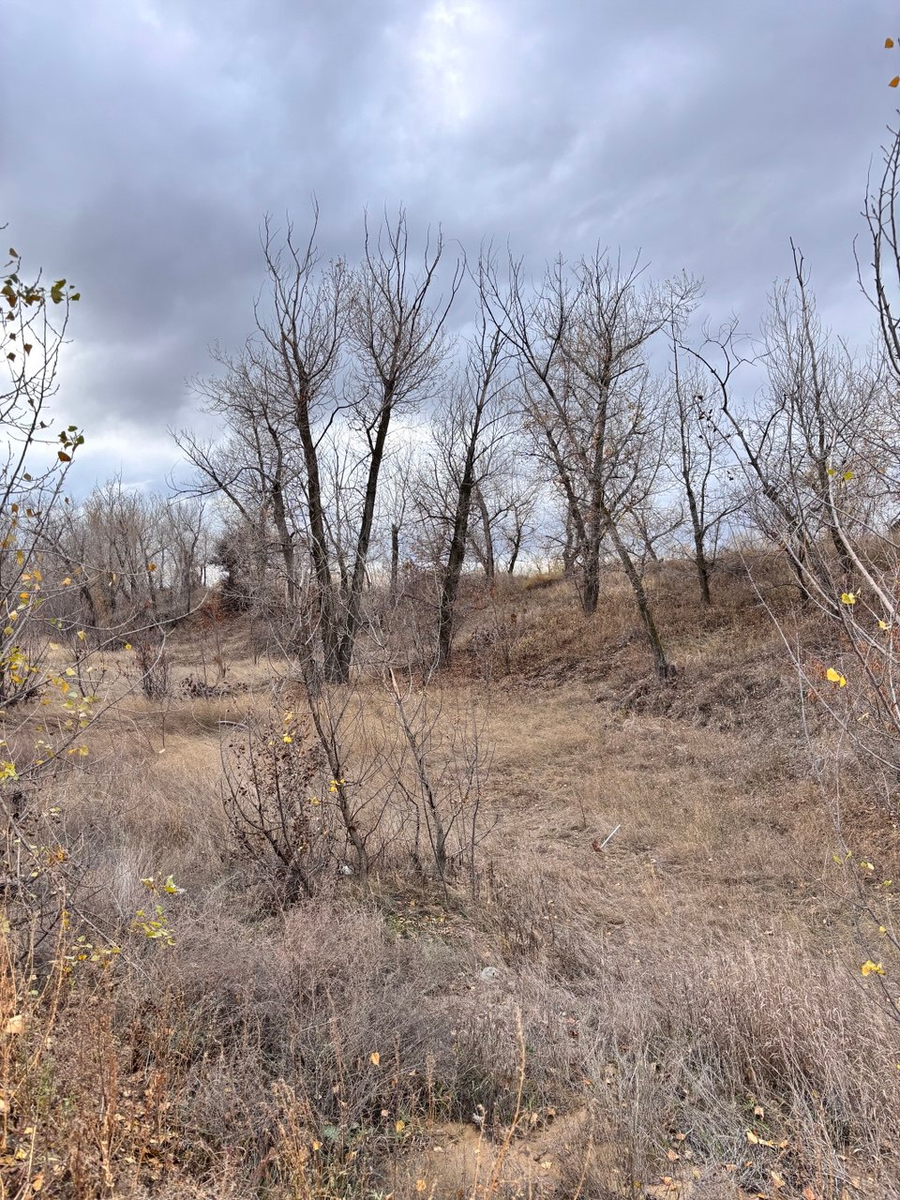 Вот так у нас серо и уныло.