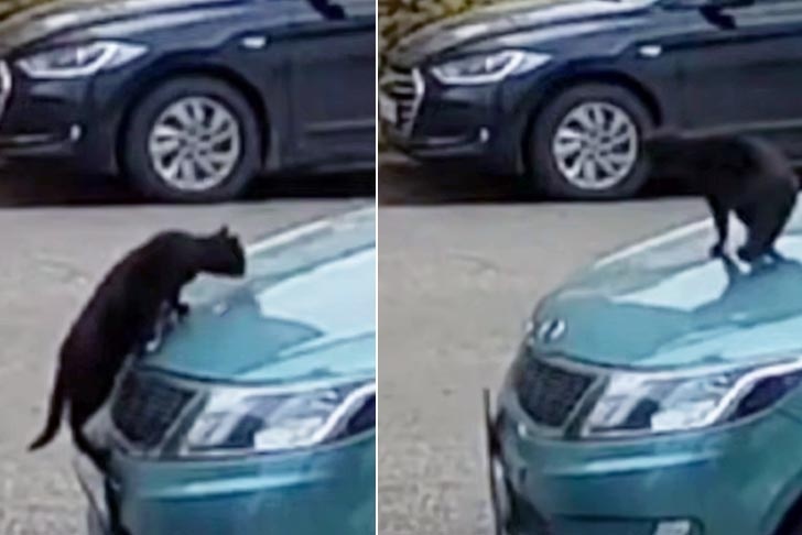    Кадры записи «умного домофона» «Уфанета»