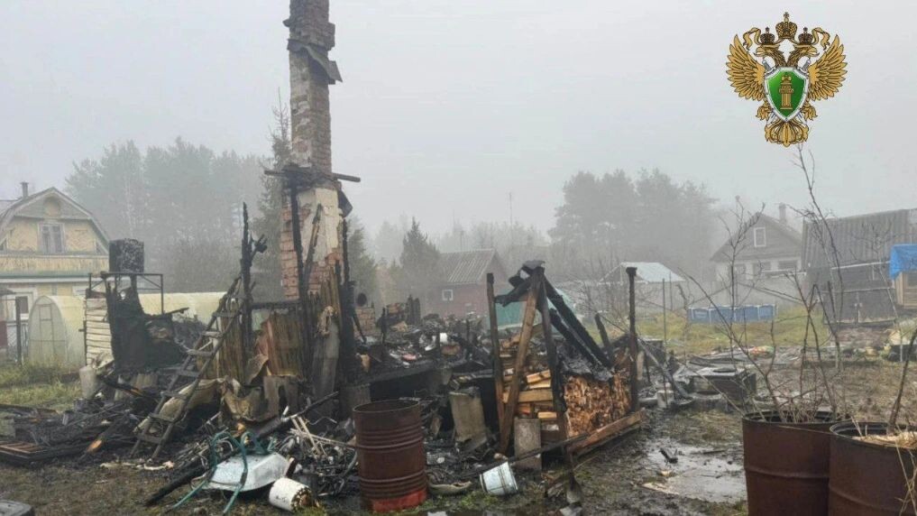    Фото: Прокуратура Ленинградской области/t.me